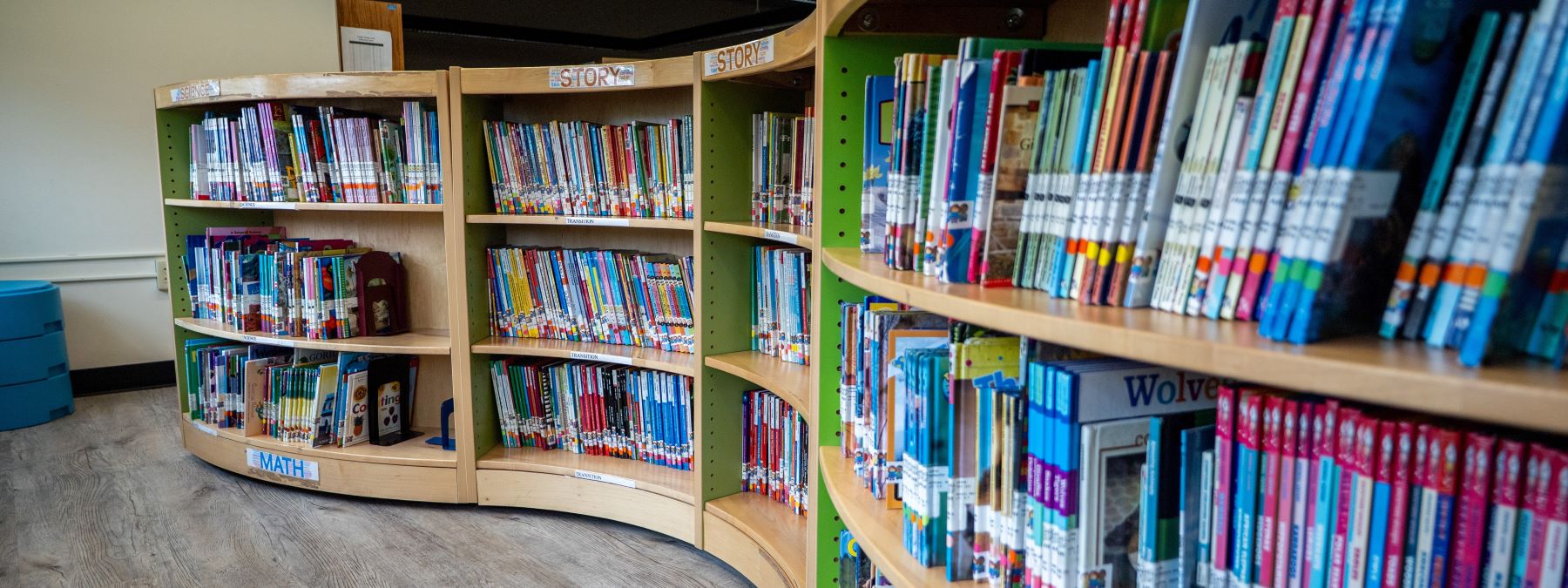 A cozy library filled with books neatly arranged on wooden shelves, inviting readers to explore and discover new stories.